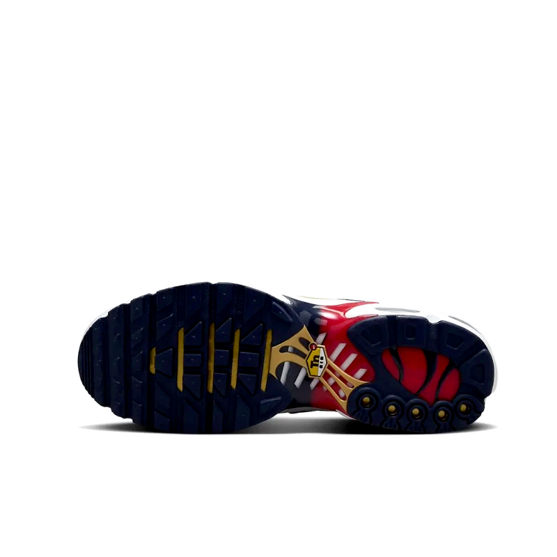 Nike Air Max Plus - Paris Saint-Germain