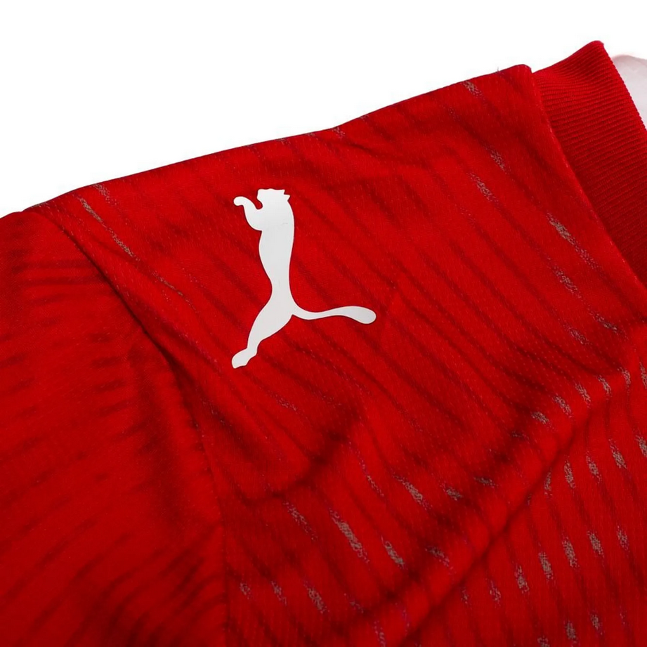 Maillot Homme Suisse Domicile 2026 Rouge