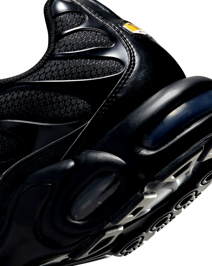 Nike Air Max Plus - Triple Black