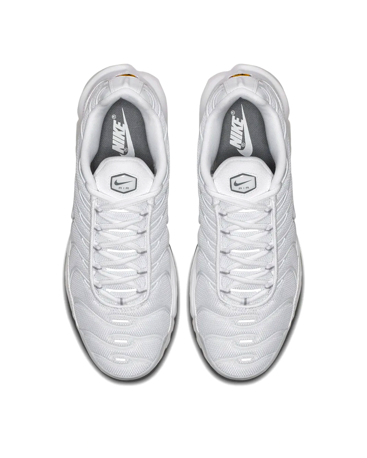Nike Air Max Plus - Cool Grey