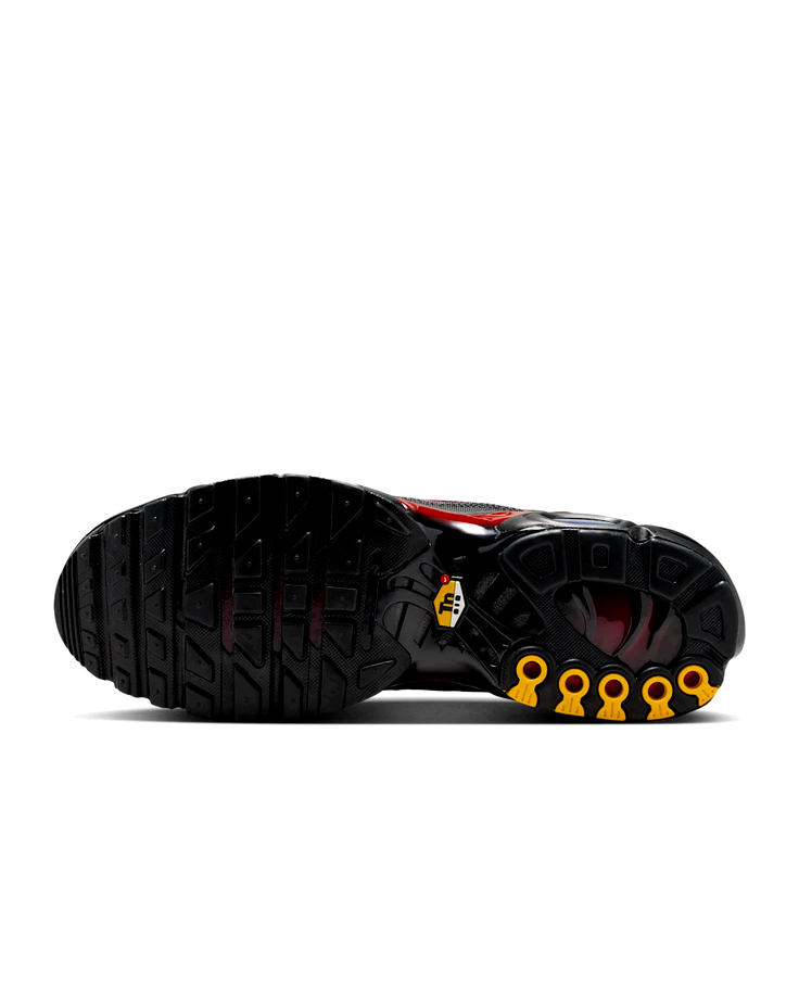 Nike Air Max Plus - Edgy Combo