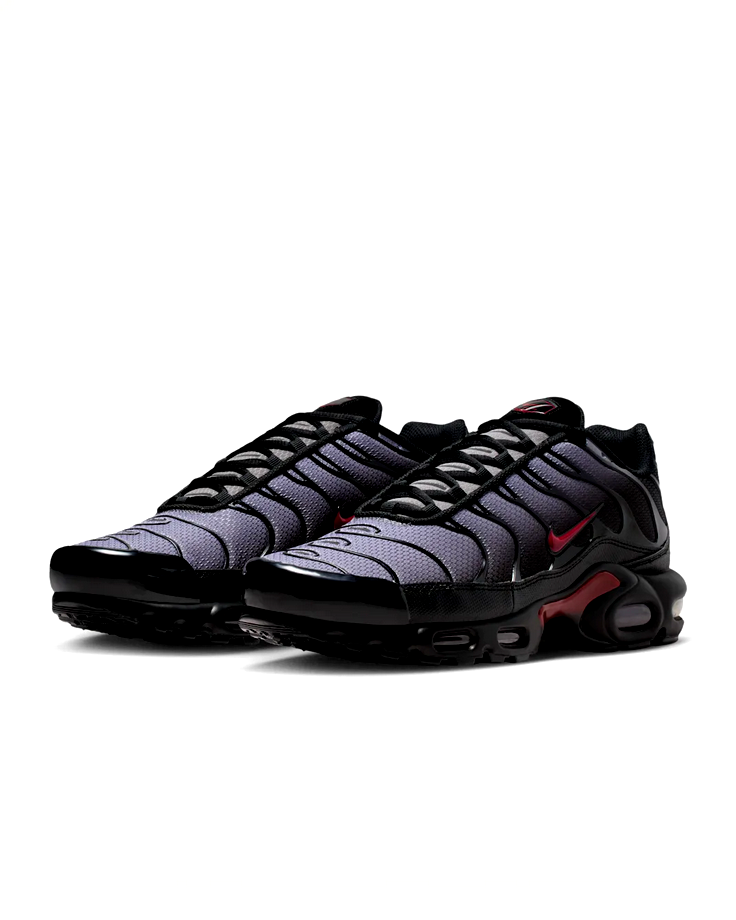 Nike Air Max Plus - Edgy Combo