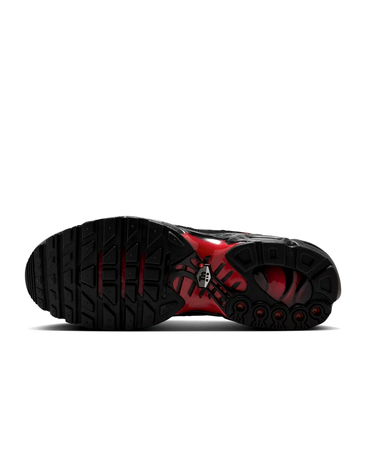Nike Air Max Plus - Flairemax