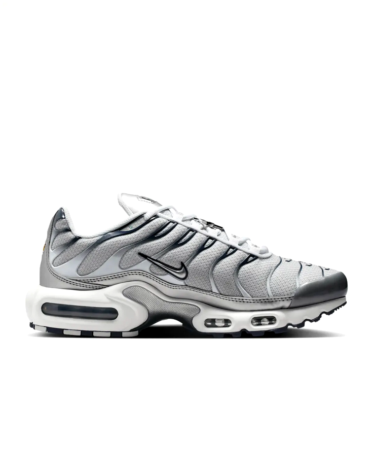 Nike Air Max Plus - Ashen Slate