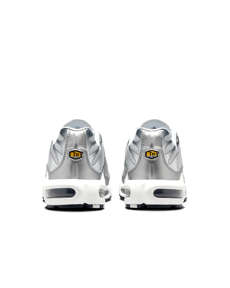 Nike Air Max Plus - Ashen Slate