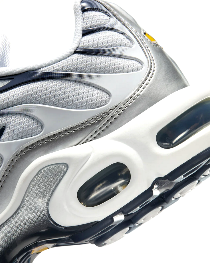 Nike Air Max Plus - Ashen Slate
