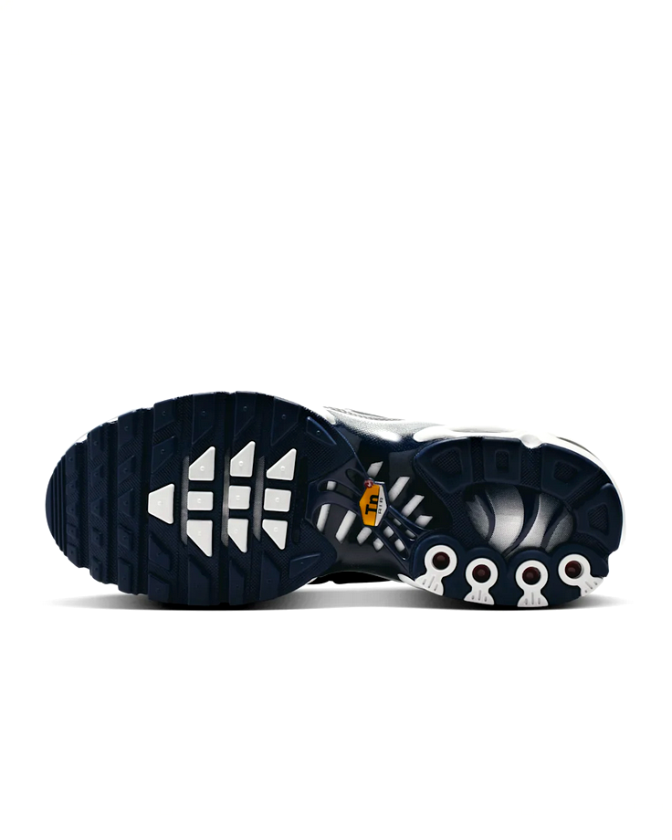 Nike Air Max Plus - Ashen Slate