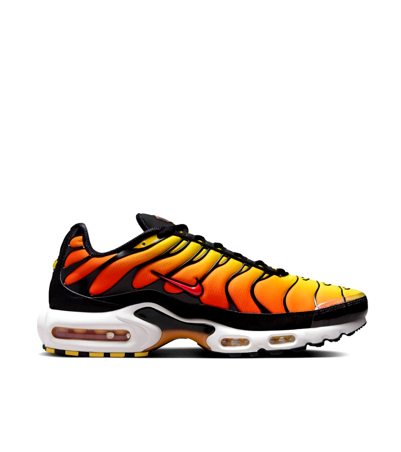 Nike Air Max Plus - Sunset