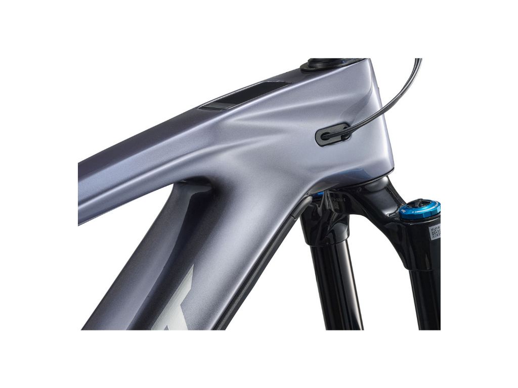 VTT Électrique Reign Advanced E+1