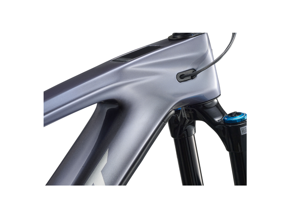 VTT Électrique Reign Advanced E+1