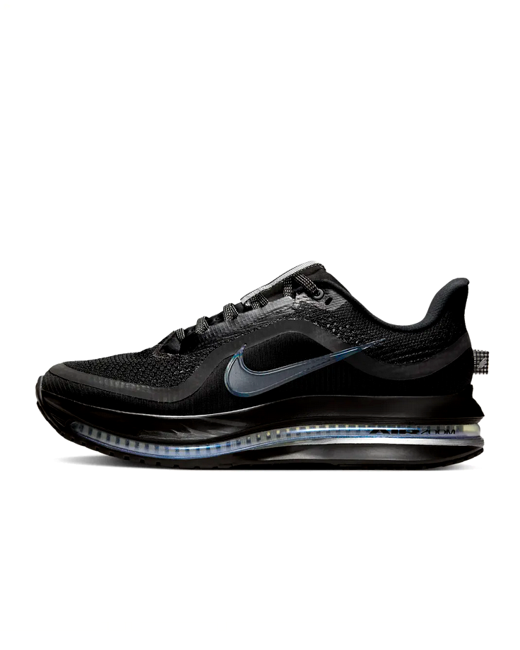 Nike Pegasus Premium - Metallic Silver