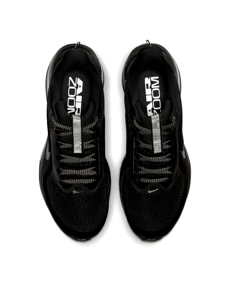 Nike Pegasus Premium - Metallic Silver