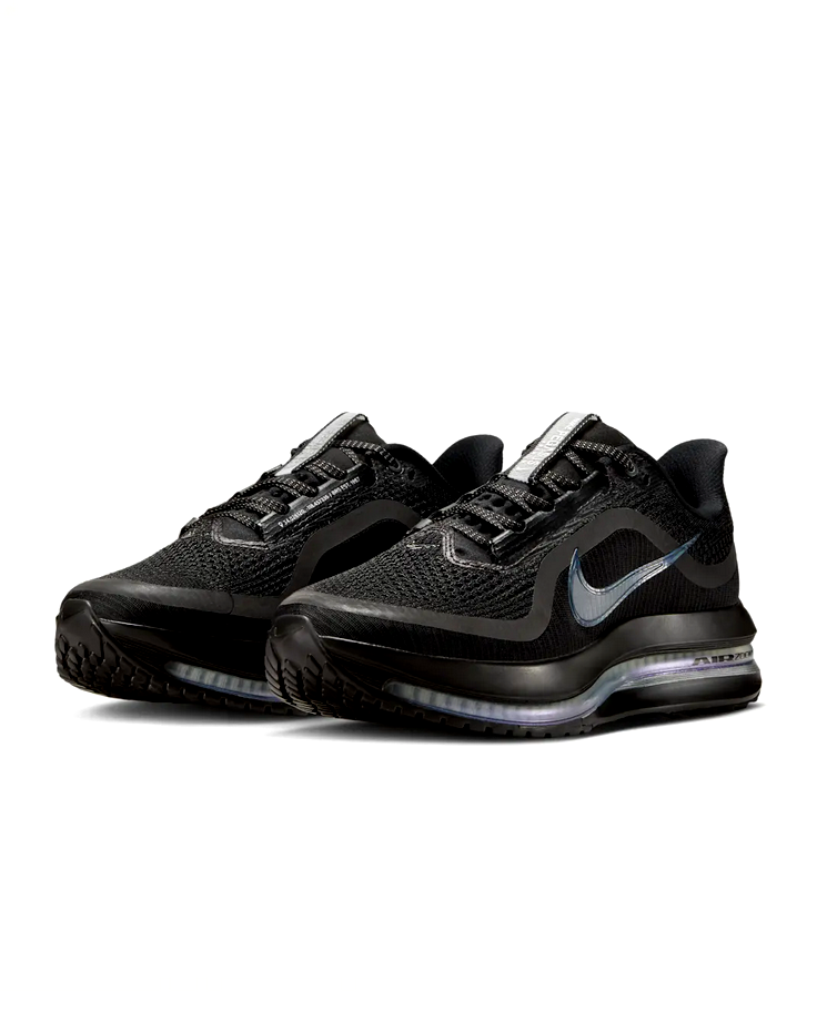 Nike Pegasus Premium - Metallic Silver