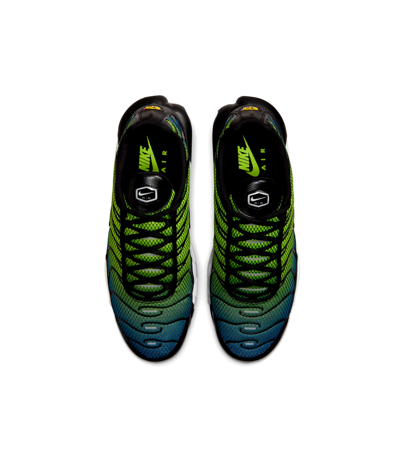 Nike Air Max Plus - Royal Checker