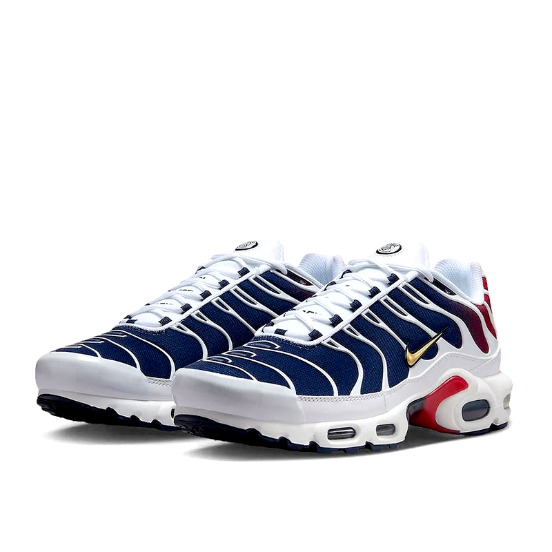 Nike Air Max Plus - Paris Saint-Germain