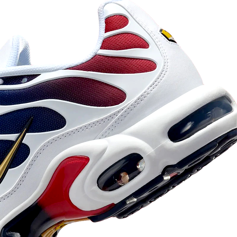Nike Air Max Plus - Paris Saint-Germain